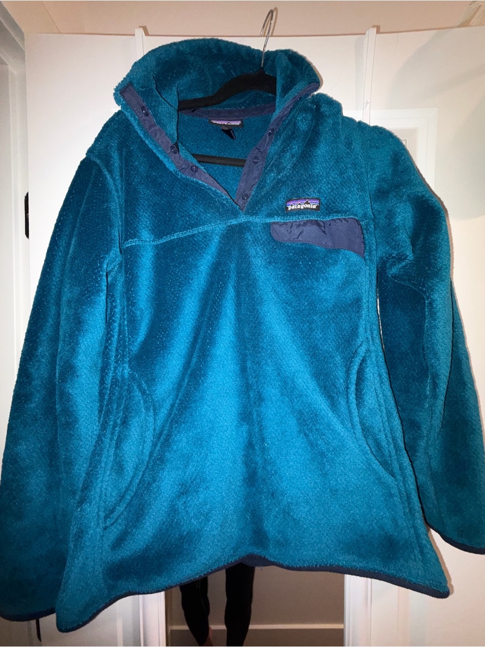 Patagonia Kids Teal Fleece Pullover Jacket